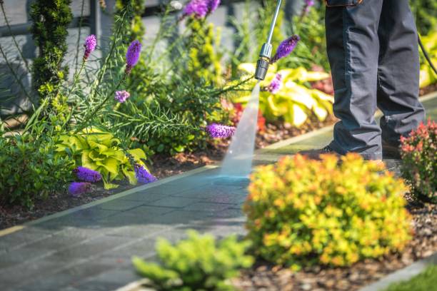 Best Sidewalk and Walkway Cleaning  in South Vacherie, LA